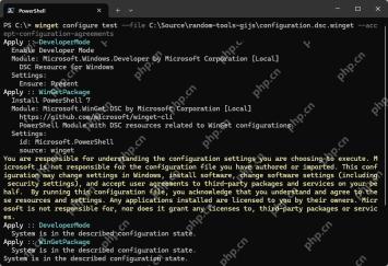 Win11 PowerShell 运行 winget configure test 检查 DeveloperMode 和 WinGetPackage 状态