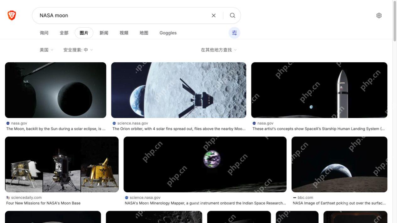 Brave Search 的图片分类、原生图片说明及来源网站