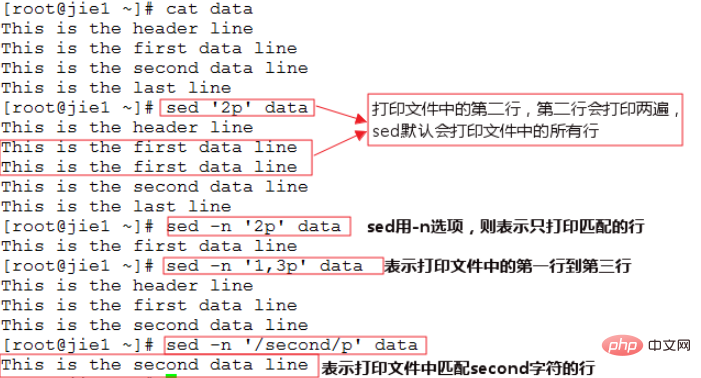 What does sed mean in linux