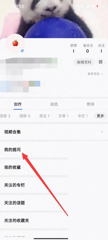 知乎更多列表里的我的提问入口