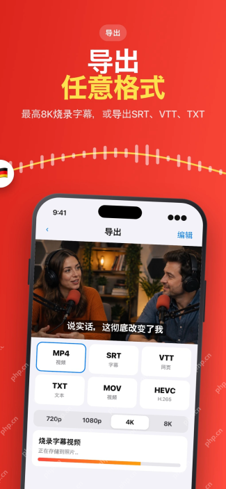 Subtitles AI的SRT VTT TXT与视频导出界面