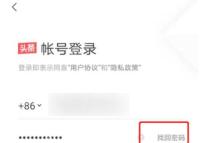 今日头条账号登录页找回密码入口