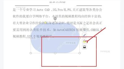 WPS 文档中蓝色圆角矩形已经变成半透明填充，可看到后方文字