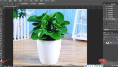 1565746988921273.png PS 마스크를 사용하여 이미지를 잘라내는 방법