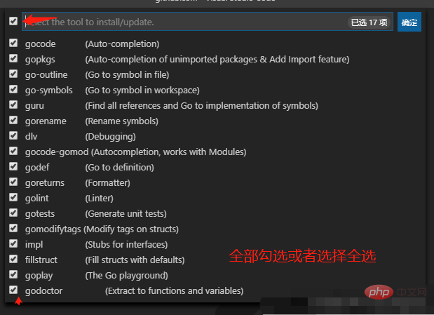 VSCode支持go语言吗