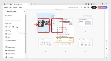Adobe Acrobat 组织页面视图中选中 PDF 页面缩略图，准备调整页面顺序