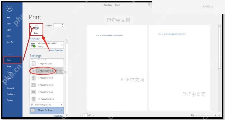 Word 打印页面入口,左侧 Print 菜单和中间打印按钮被标出