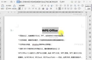 WPS如何在文档中设置双删除线?结果检查