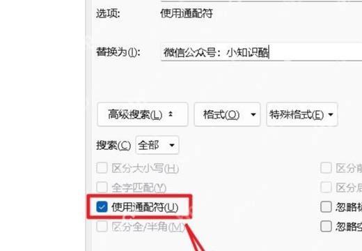 先在Word中写小范围通配模式测试脏文本