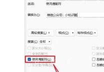 先在Word通配符查找框中写好高级匹配规则
