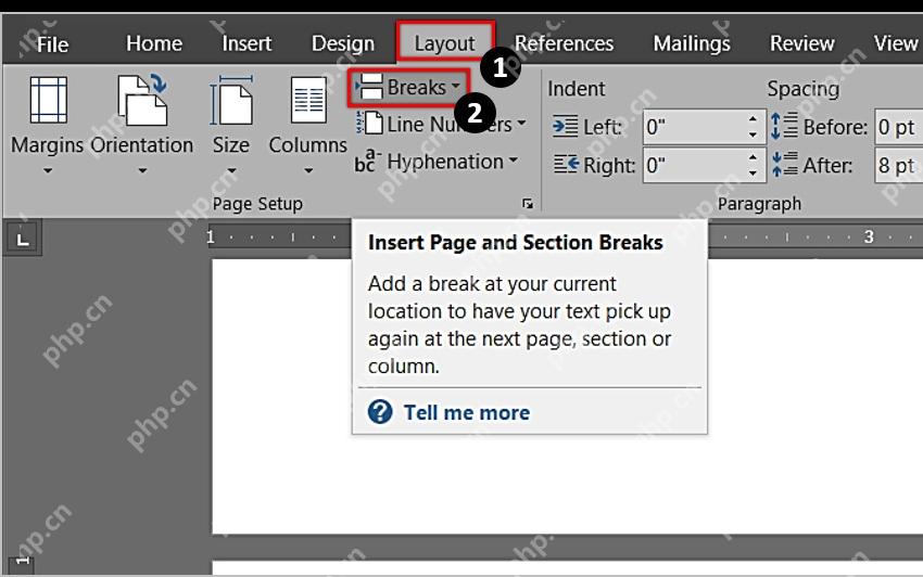 Word Layout 选项卡中点击 Breaks 入口,用于插入分节符