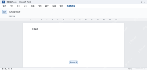 模拟 Word页脚中PAGE域的代码视图