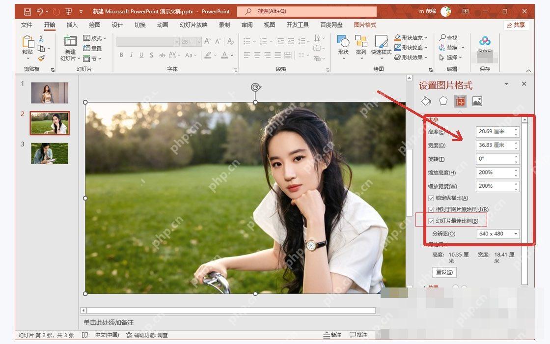 PowerPoint设置图片格式窗格中调整高度和宽度