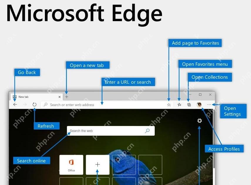Microsoft Edge主窗口常用导航区域