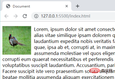 Comment utiliser float pour envelopper du texte autour des images