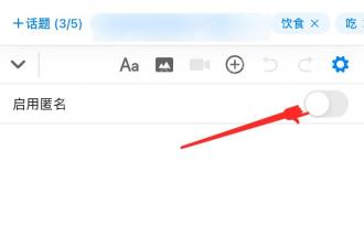 知乎提问页面底部设置里的启用匿名选项