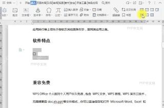 WPS如何给文档中的窗体域添加底纹?设置效果