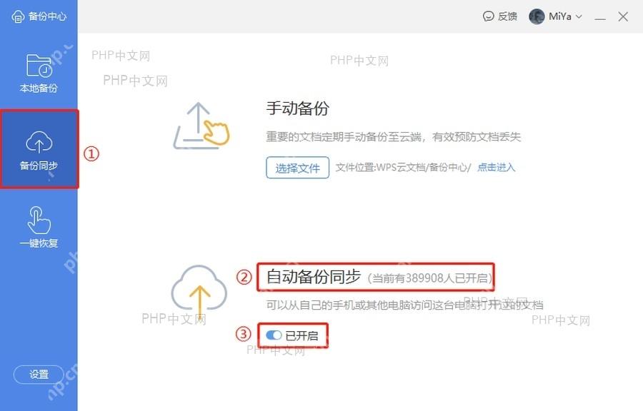 WPS 备份中心云端备份页面中标出自动备份同步开关,服务于减少再次丢稿步骤