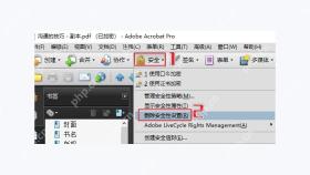 使用Adobe Acrobat图2