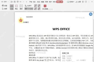 如何显示/不显示PDF文档中的测试结果面板？设置效果