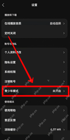 汽水音乐怎么设置青少年模式