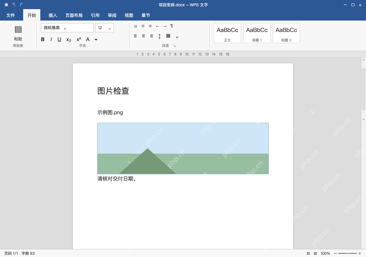 模拟 WPS 文字完整界面:先用正常图片检查源文件与格式