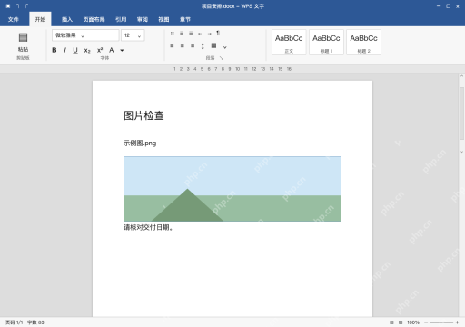 模拟 WPS 文字完整界面：先用正常图片检查源文件与格式