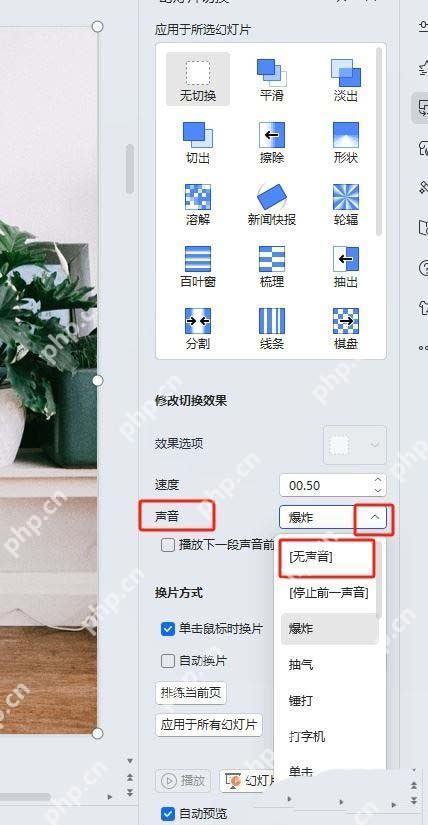 PPT平滑切换效果选项