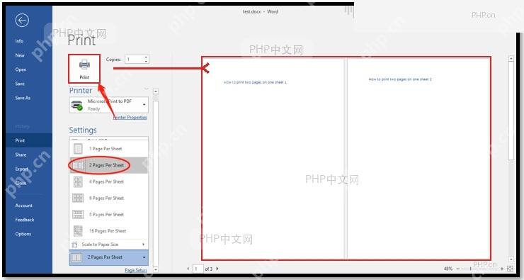 Word 打印预览区域显示两页并排,打印按钮和预览区域被标出