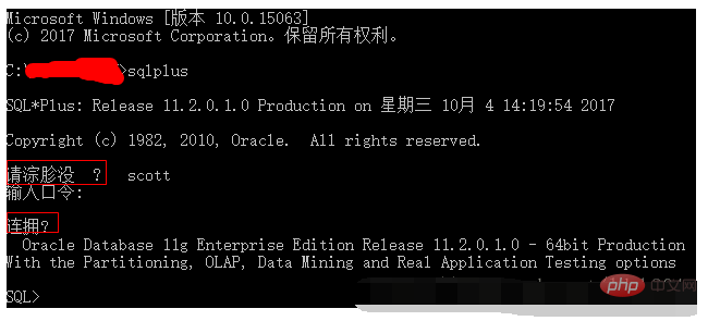 How to solve the Chinese garbled problem in oracle11