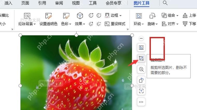 WPS图片旁边的裁剪入口被展开用于进入裁剪状态