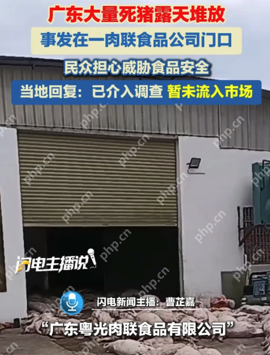 广东一食品公司被曝露天堆放大量死猪，详情介绍 - php中文网
