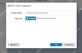 Wallpaper Engine New Video Wallpaper 窗口显示 Project Name 和 Import 视频文件按钮