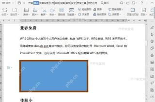 Word如何调整文档中形状的轮廓颜色?结果检查