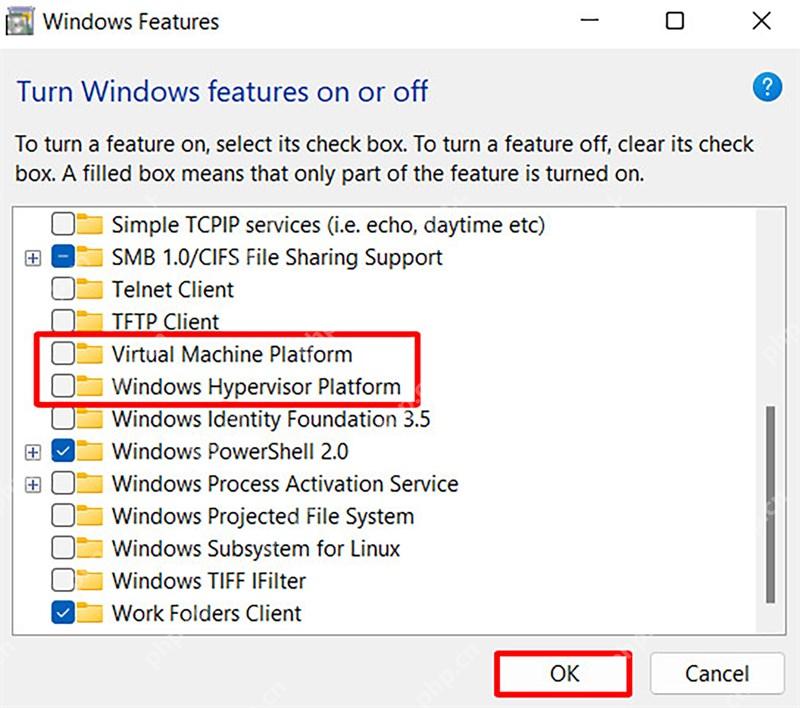Windows Features 窗口中 Virtual Machine Platform 和 Windows Hypervisor Platform 未勾选并被框出