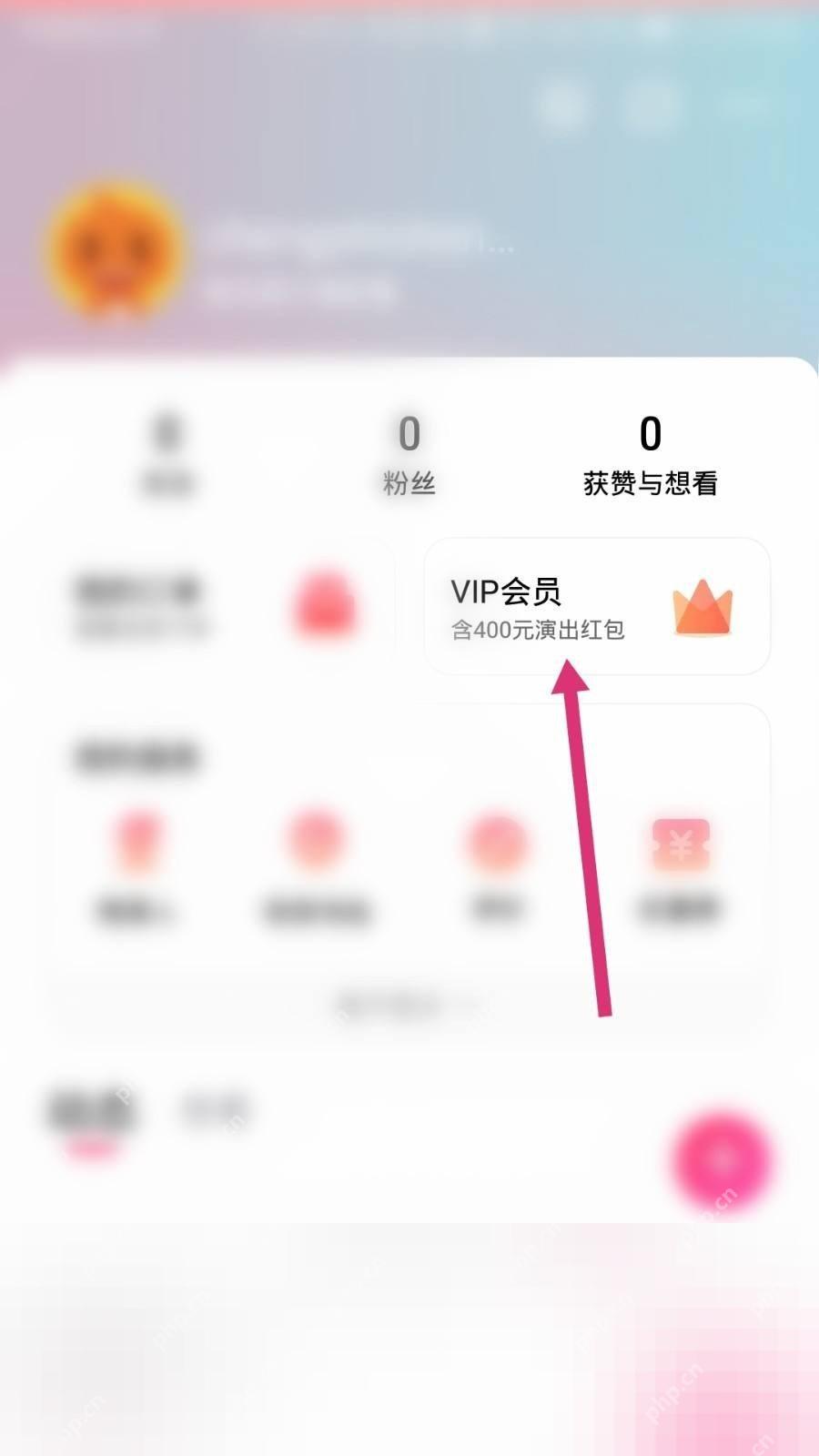 大麦我的页面 VIP 会员入口