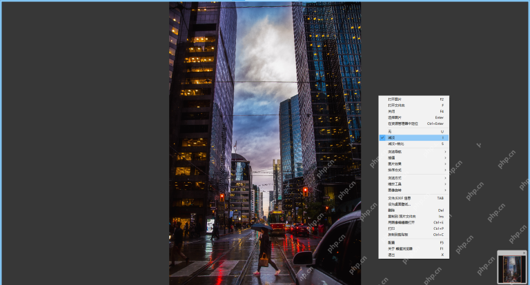 Windows 中的 Honeyview 中文右键菜单列出文件/EXIF 信息，并在右侧标注快捷键 TAB