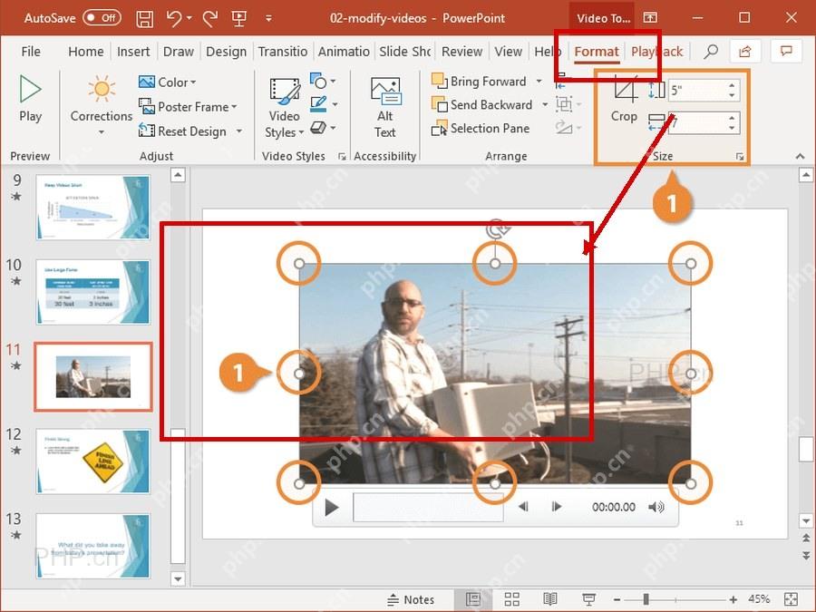 PowerPoint 视频对象控制点和视频格式选项服务于第三步调整画面位置