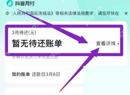 抖音月付页面查看账单详情