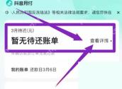 抖音月付页面查看账单详情