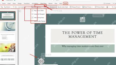 PowerPoint 播放工具栏中开启后台播放,从而带上循环播放直到停止设置