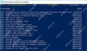 Windows10 PowerShell 查询 RSAT 功能安装状态