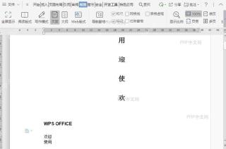 WPS在文档大纲视图中如何提升项目级别?入口位置