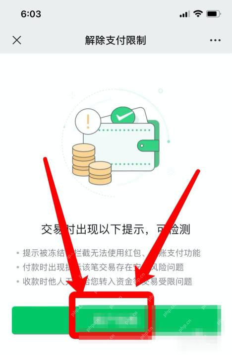 微信解除支付限制页面账户检测按钮