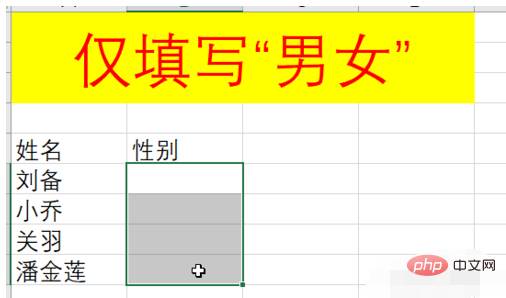 How to set excel male and female gender selection