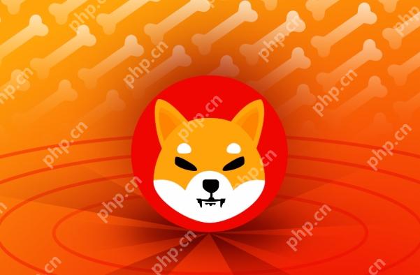 柴犬币怎么买 - php中文网