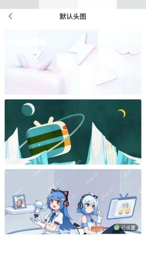 哔哩哔哩默认头图选择页面