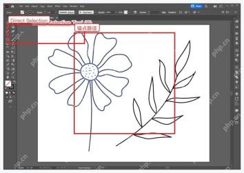 Illustrator 工具栏中选择直接选择工具并显示路径锚点