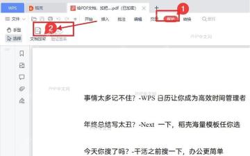 WPS PDF 保护选项卡和文档加密按钮被标出，服务于第二步进入加密功能