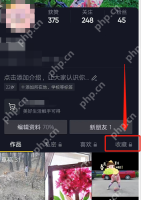 抖音个人主页中的收藏入口